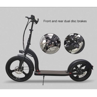 20inch 36V 250W 2 Wheel Foldable Electric Scooter 
