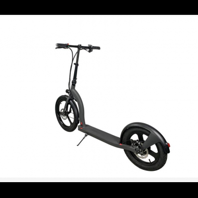 Powerful 250W Adult Electric Folding Scooter
