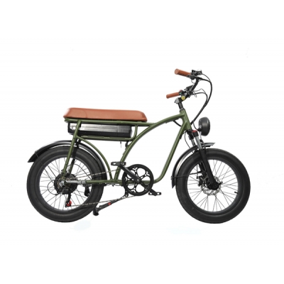 20inch Fat Tyre Electric Bike 